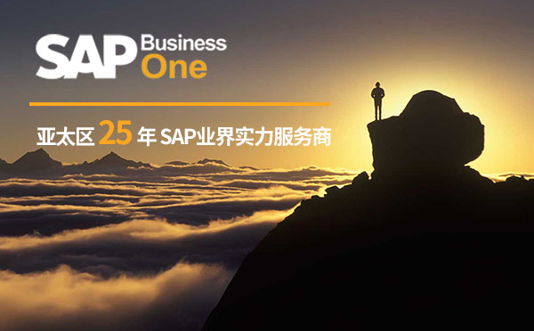 SAP ERP系統(tǒng),SAP ERP能為企業(yè)做什么,SAP,ERP解決方案,SAP ERP